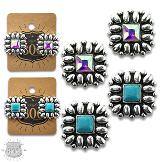 Western silver and stone post earring